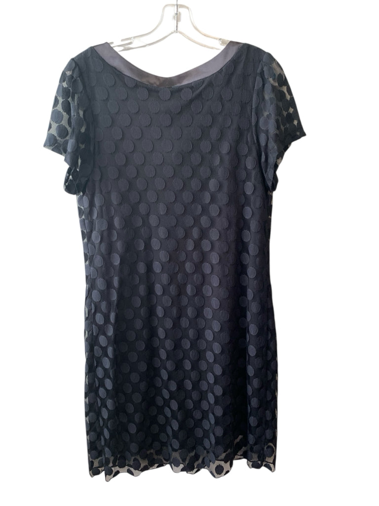 EN FOCUS  14 DRESS W