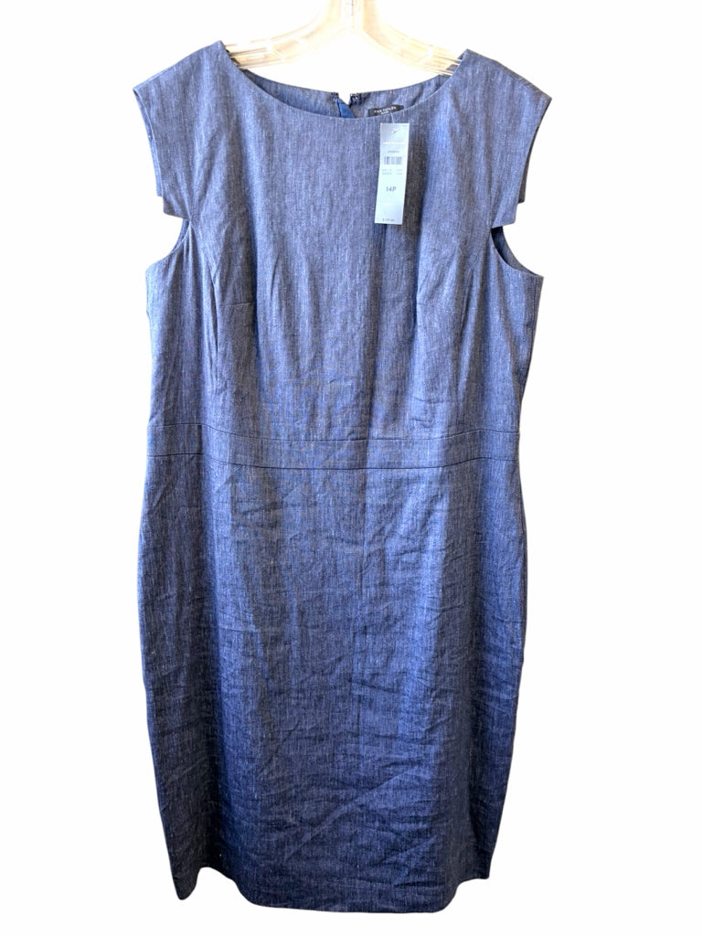 ANN TAYLOR Size 14P DRESS W