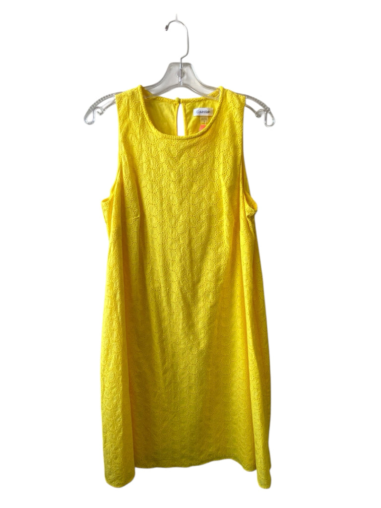CALVIN KLEIN Size 12 DRESS W