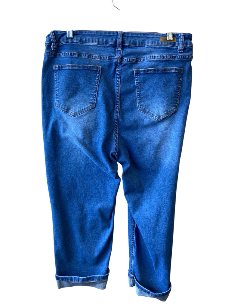 BLEU Size 16 CROP W