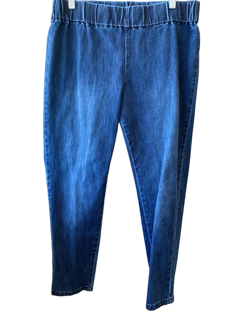 SOFT SURROUNDINGS  PL JEANS W