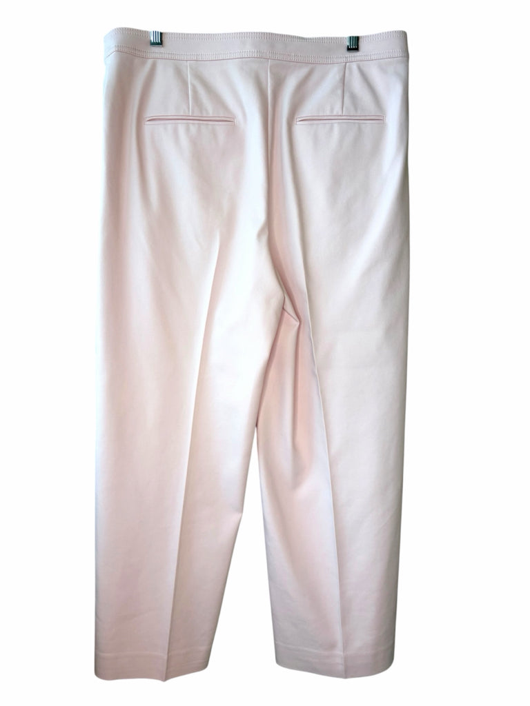 ANN TAYLOR Size 12 PANTS W
