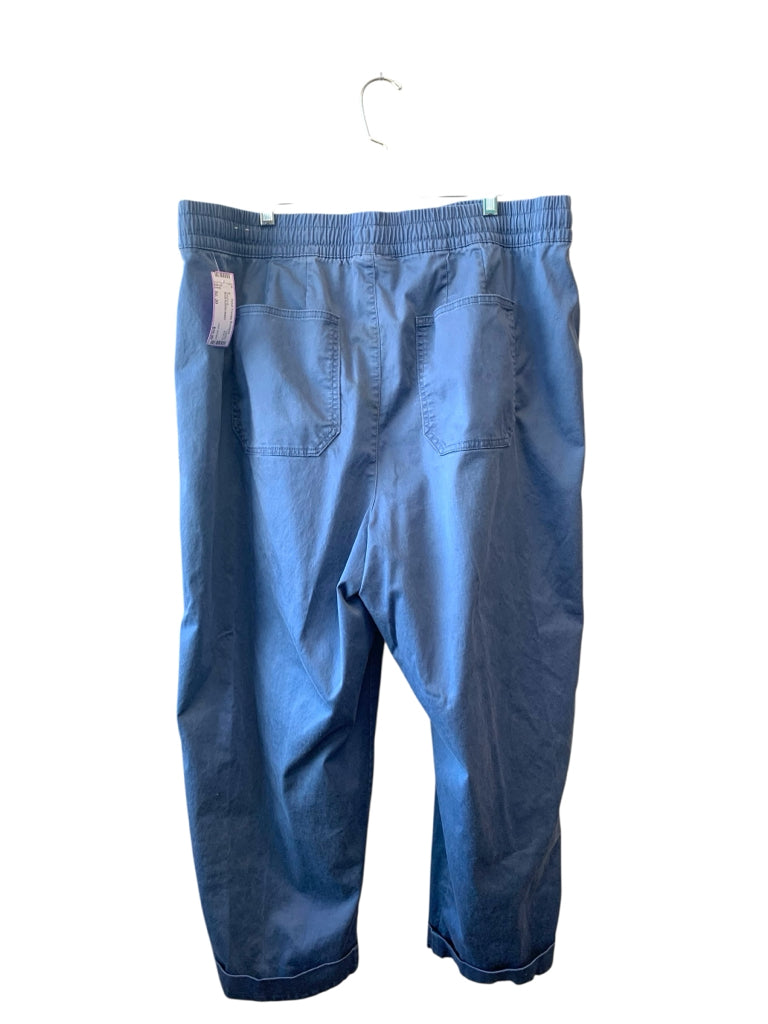 LANE BRYANT  20 PANTS W