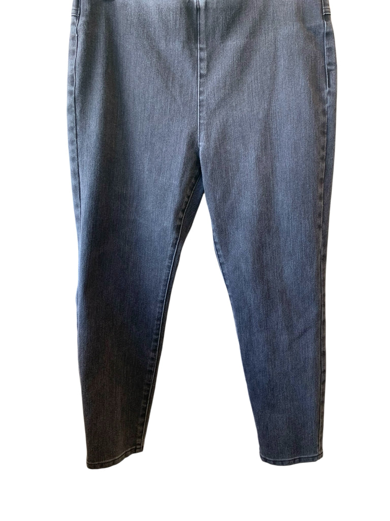 SOFT SURROUNDINGS  PL JEANS W