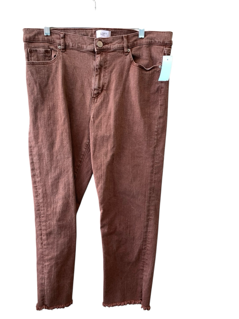 AT LOFT  12 JEANS  W