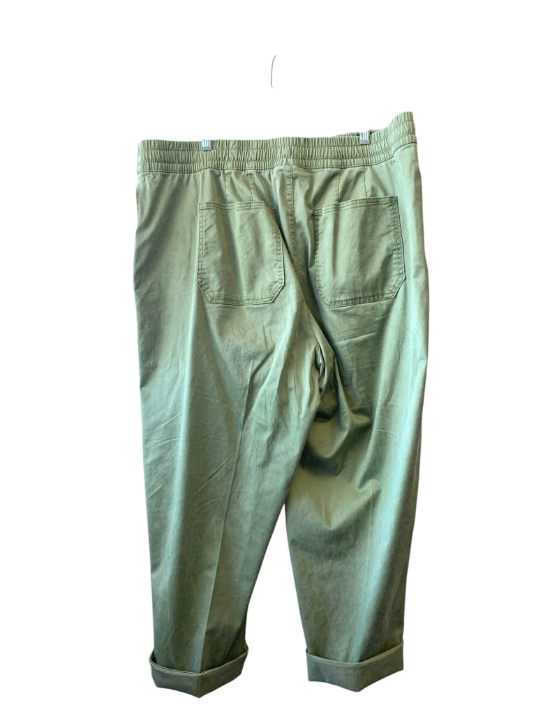 LANE BRYANT  20 PANTS W