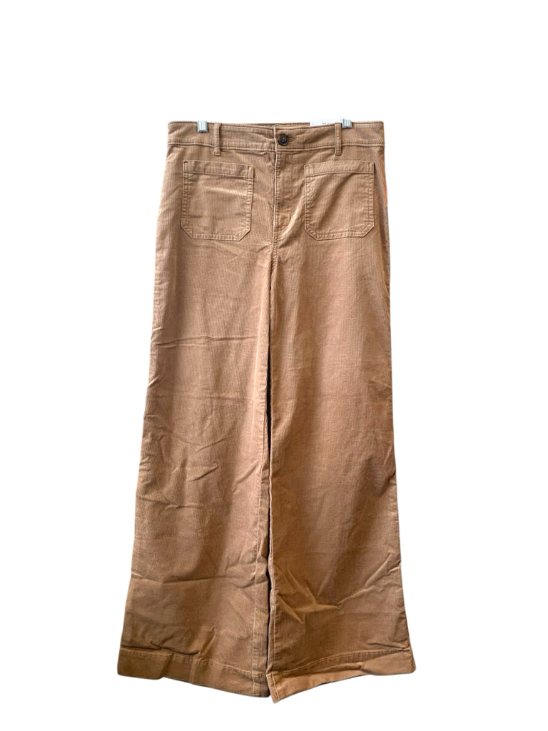 LOFT  6 PANTS W