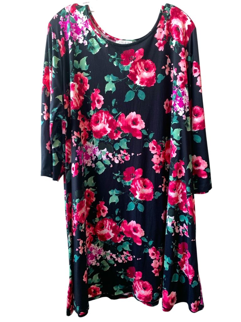 JAMIE & LAYLA  3X DRESS W