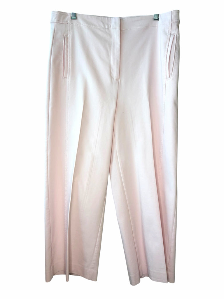 ANN TAYLOR Size 12 PANTS W