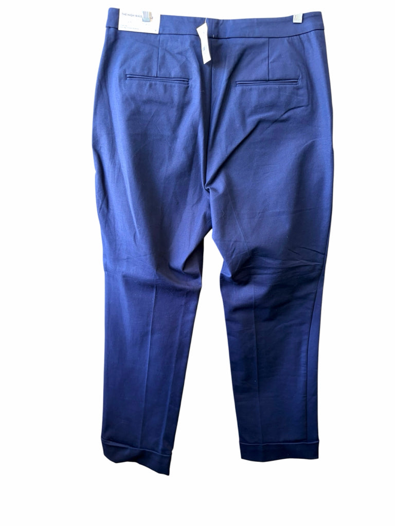 ANN TAYLOR Size 10 PANTS W