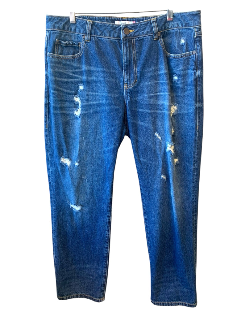 CABI  12 JEANS W