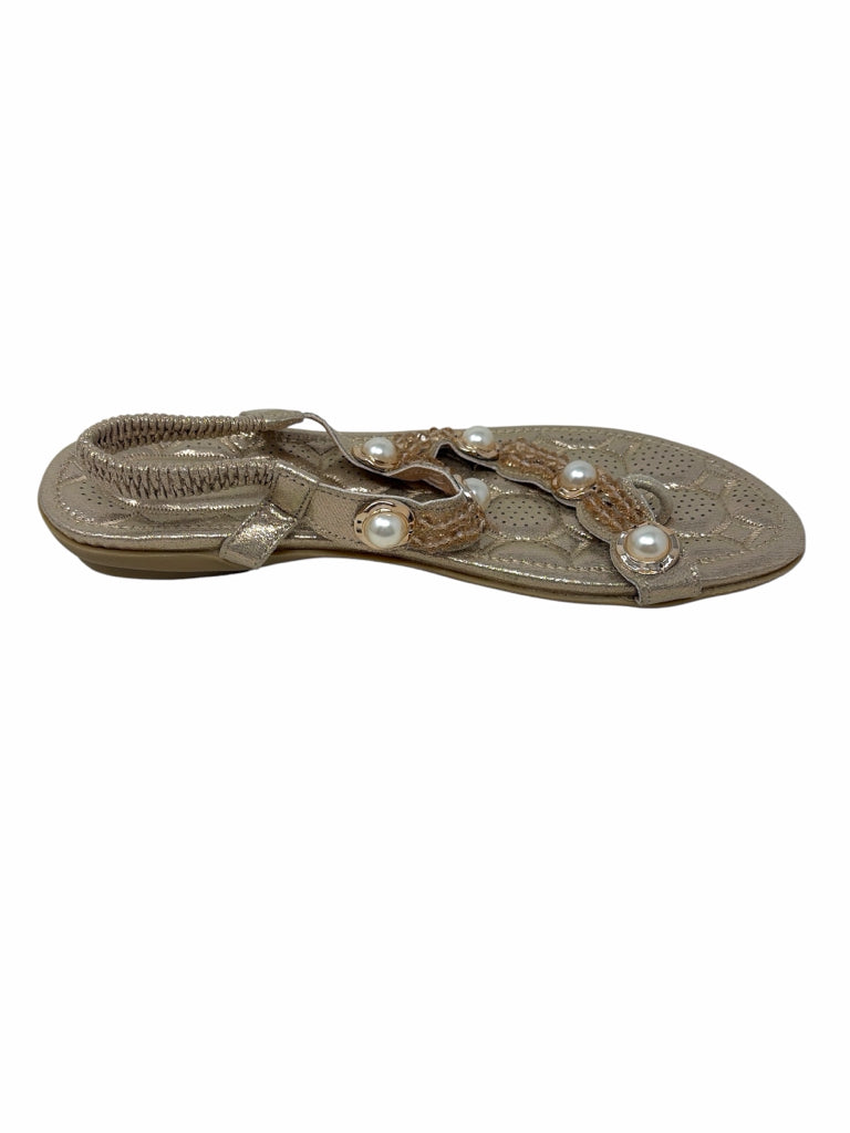 Size 11 SANDALS W