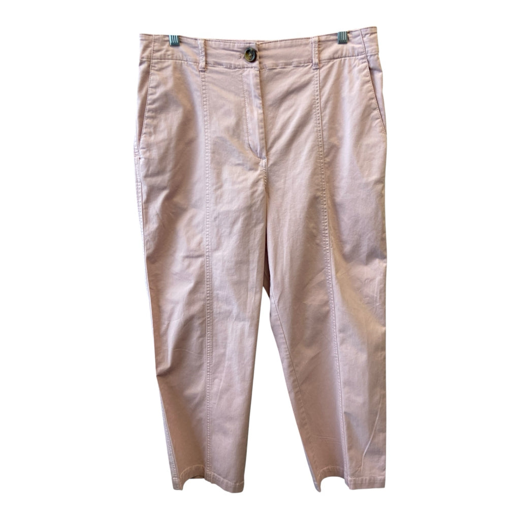 ANN TAYLOR Size 12 PANTS W
