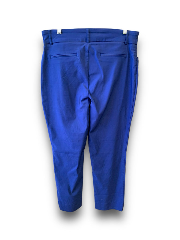 HILARY RADLEY  12 PANTS W