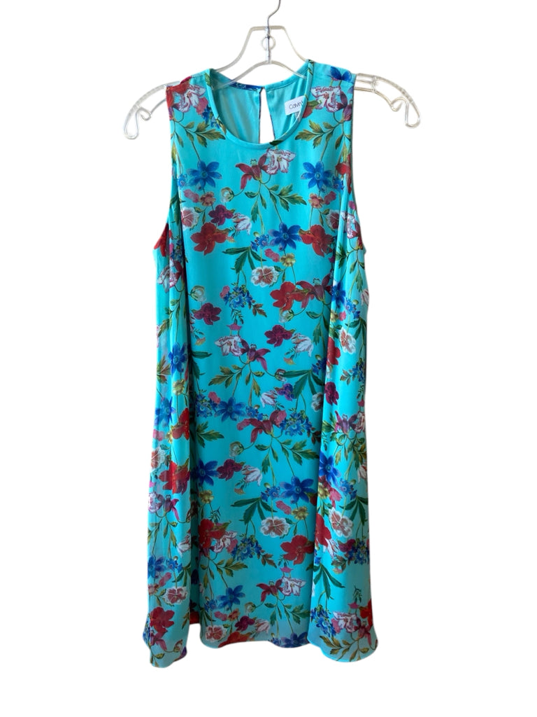 CALVIN KLEIN Size 6 DRESS W