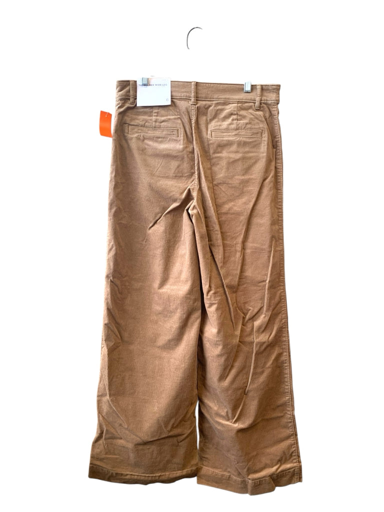 LOFT  6 PANTS W