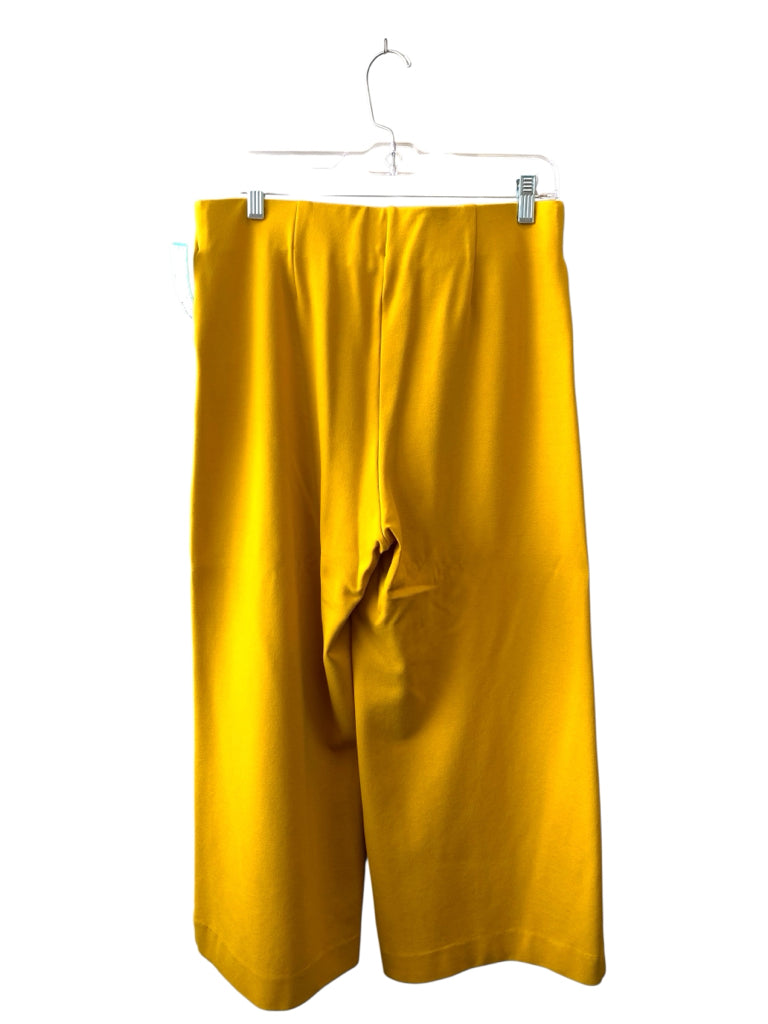 CHICO'S  10 PANTS W