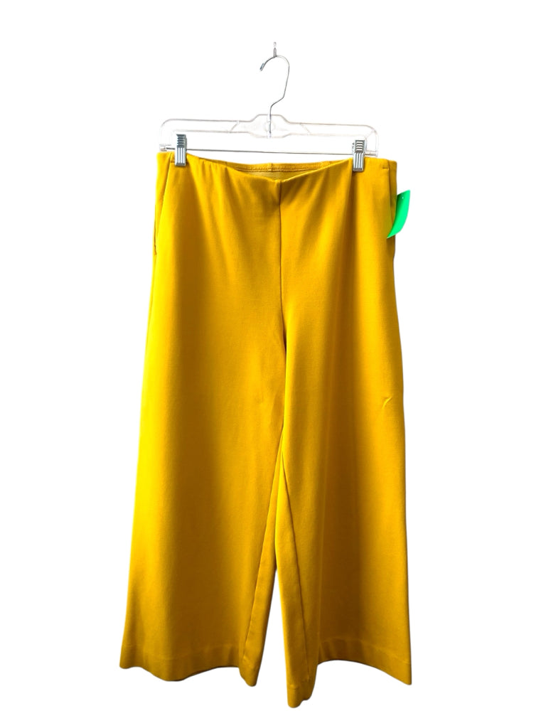 CHICO'S  10 PANTS W