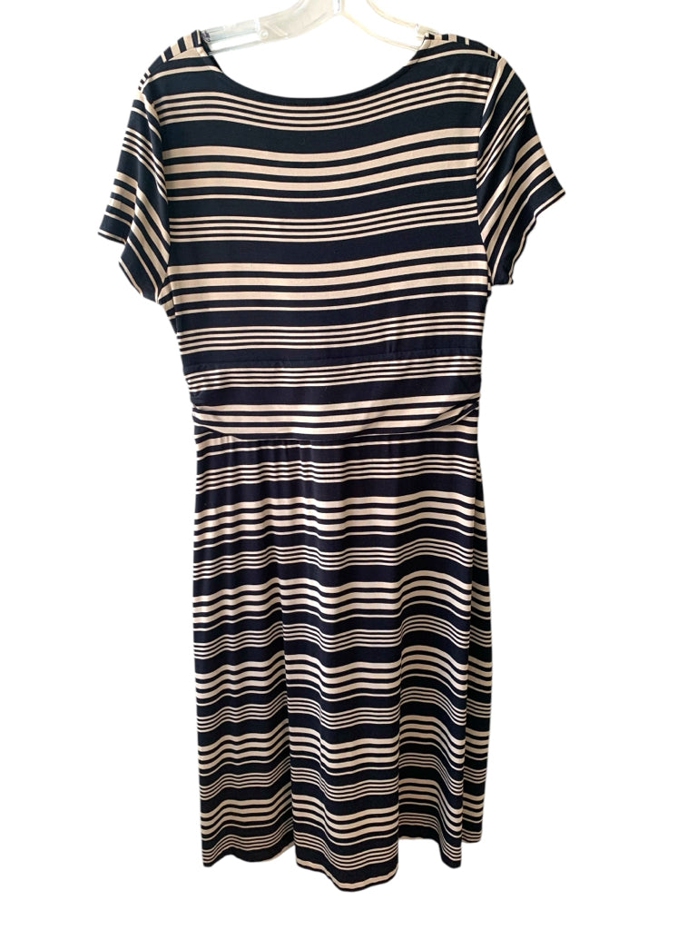 TALBOTS  medium DRESS W